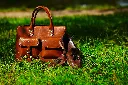 retro-brown-shoes-man-leather-bag-bright-colorful-summer-grass-park.webp